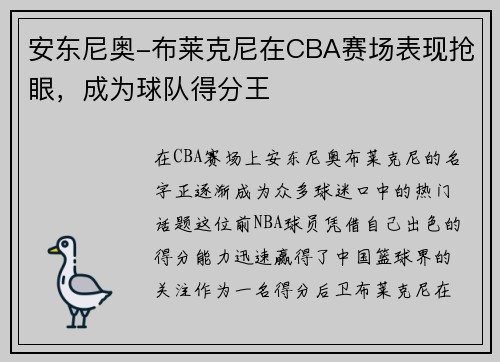 安东尼奥-布莱克尼在CBA赛场表现抢眼，成为球队得分王
