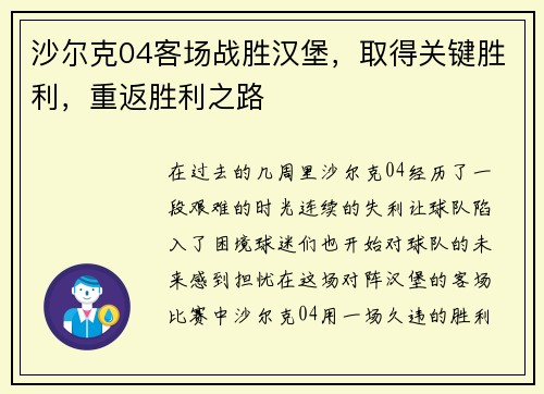 沙尔克04客场战胜汉堡，取得关键胜利，重返胜利之路