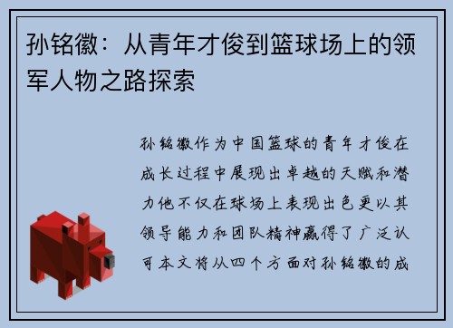 孙铭徽：从青年才俊到篮球场上的领军人物之路探索