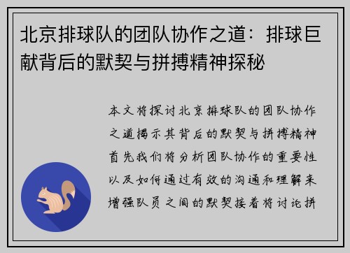 北京排球队的团队协作之道：排球巨献背后的默契与拼搏精神探秘