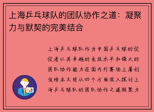 上海乒乓球队的团队协作之道：凝聚力与默契的完美结合